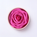 Cor de Rosa